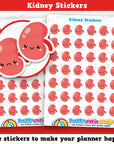 42 Cute Kidney Planner Stickers